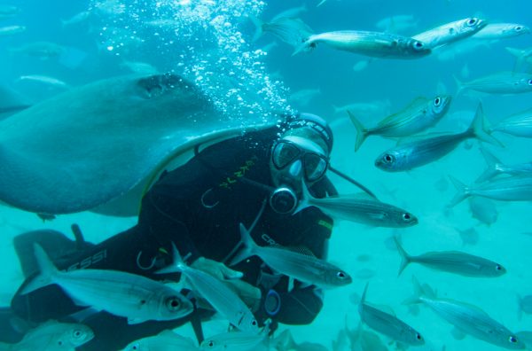 Scuba diver underwater among a school of fish