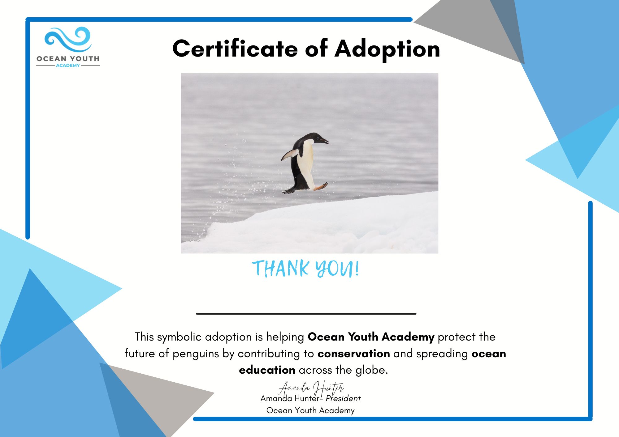 Adopt an Antarctic Penguin